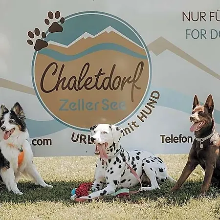 Hotel Chaletdorf Zellersee