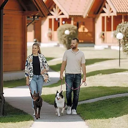 Chaletdorf Zellersee Hotel